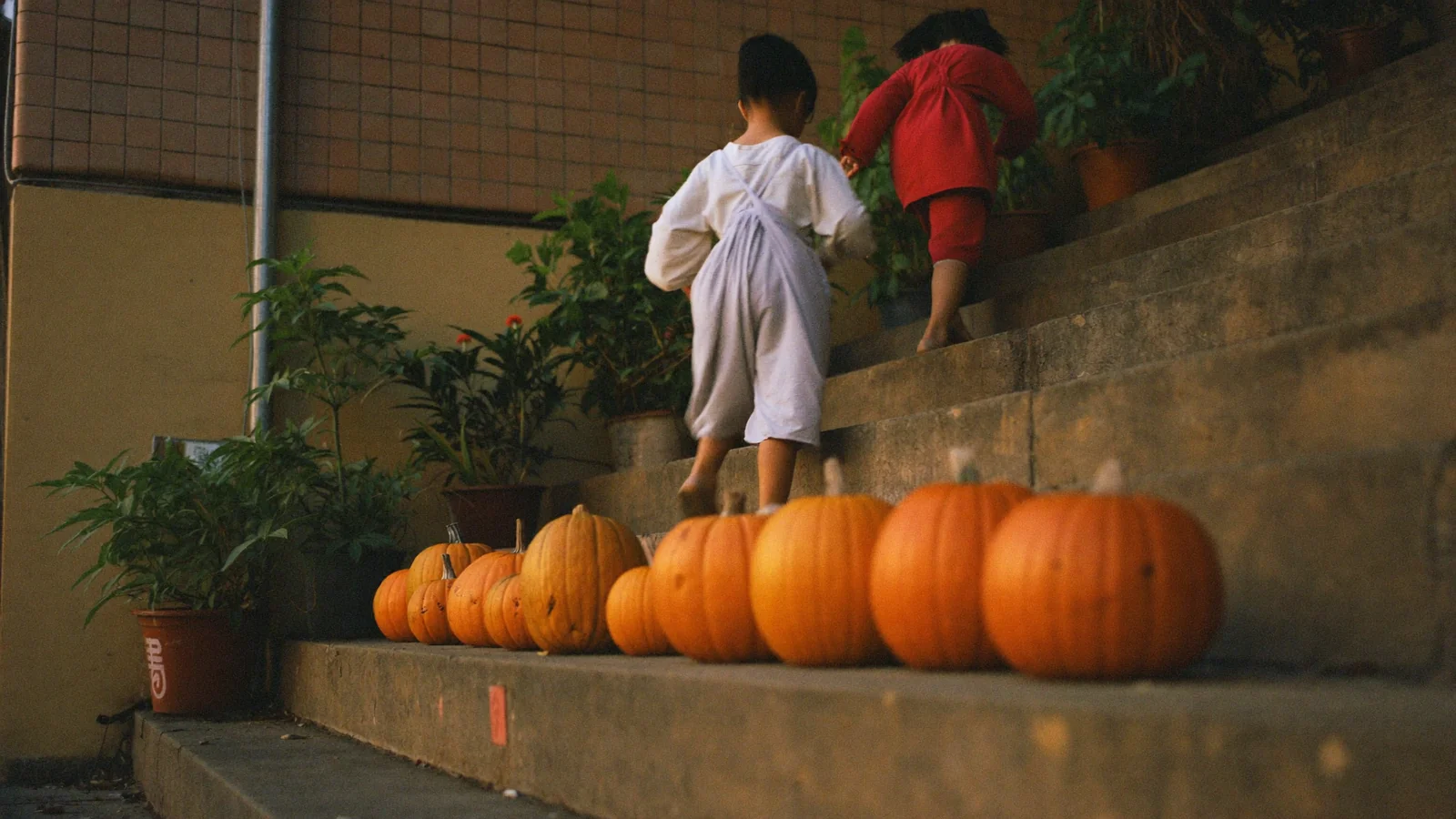 Carved pumpkins lined along worn concrete steps on a quiet Hong Kong lane at dusk as two young children in simple costumes walk up, an illustrative image for this Halloween family guide and not a photograph of a named venue